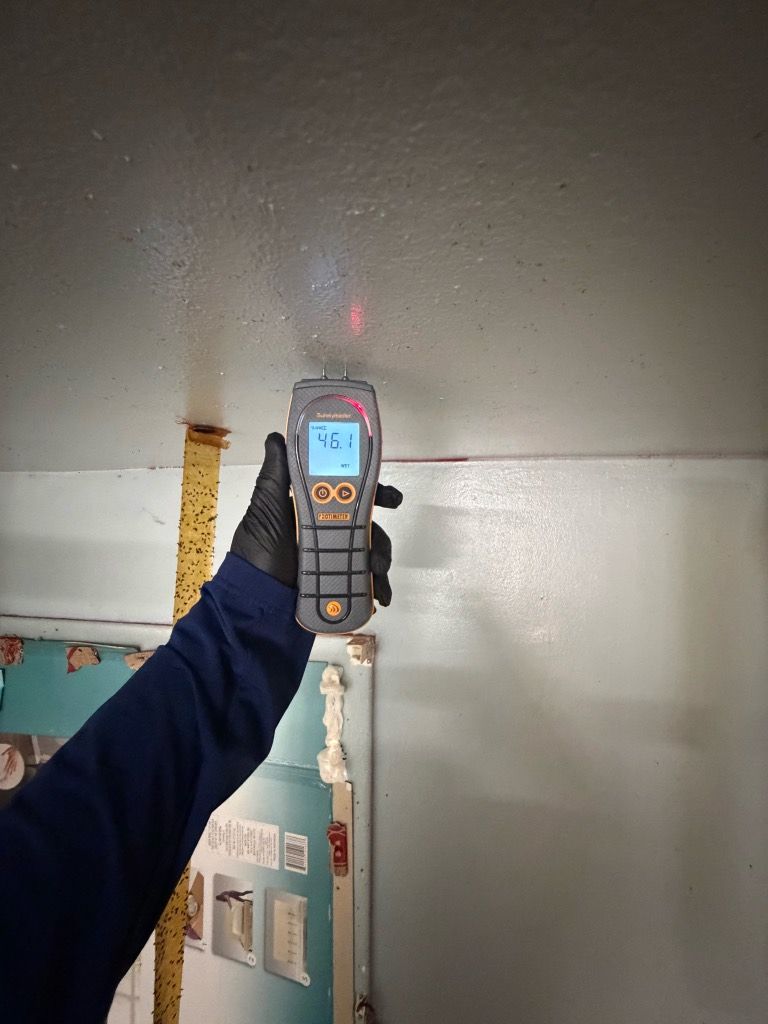 Technician holding a moisture meter at a property